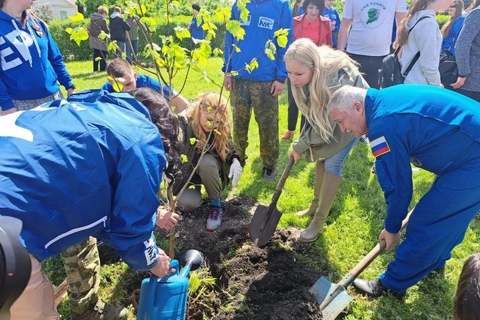 Было высажено 30 саженцев липы, сосны и клена. ФОТО: t.me/government_lnr