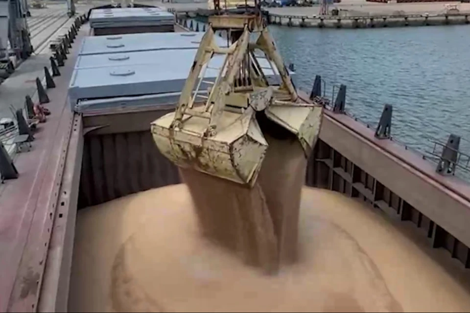 Загрузка первого судна зерном. Фото: Скриншот видео ТГ/Пушилин