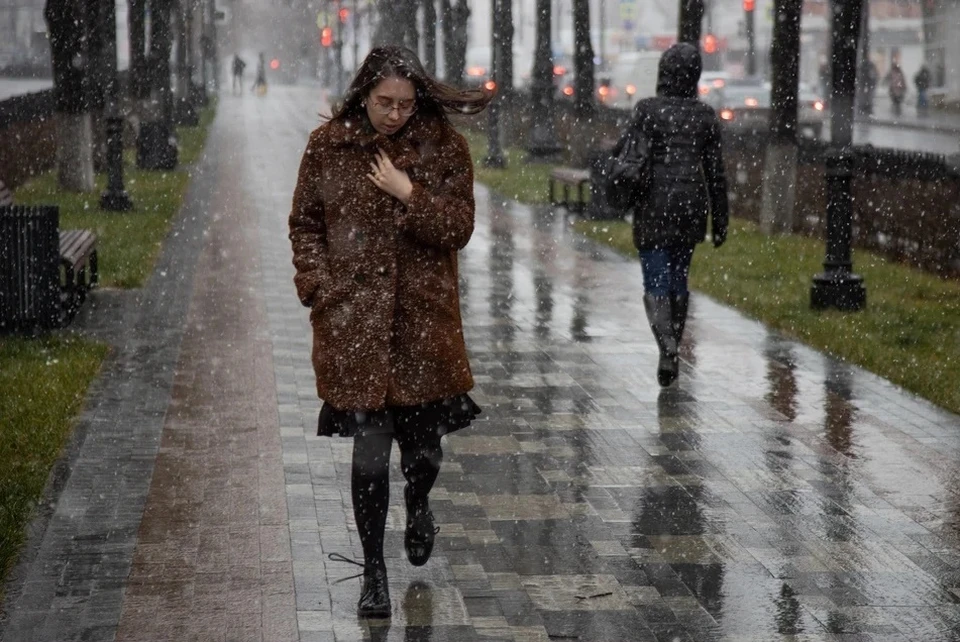 Фото: Николай ОБЕРЕМЧЕНКО