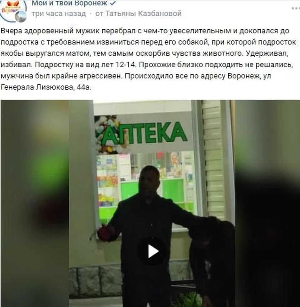 В Воронеже мужчина в День Победы заставил подростка извиняться за мат перед  своей собакой - KP.RU