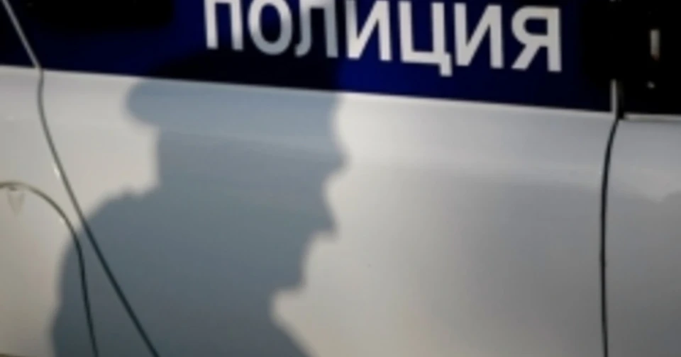 Полицейские обнаружили пропавшего Артема Ш. в Отрадном.