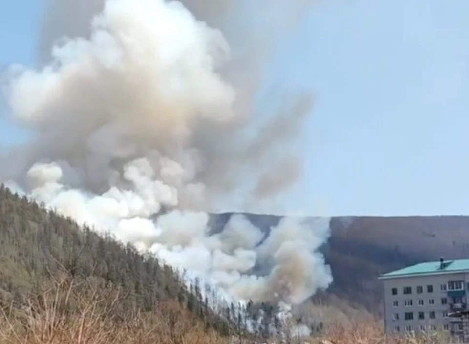 Лесной пожар полыхает рядом с поселком в Хабаровском крае Фото: скриншот