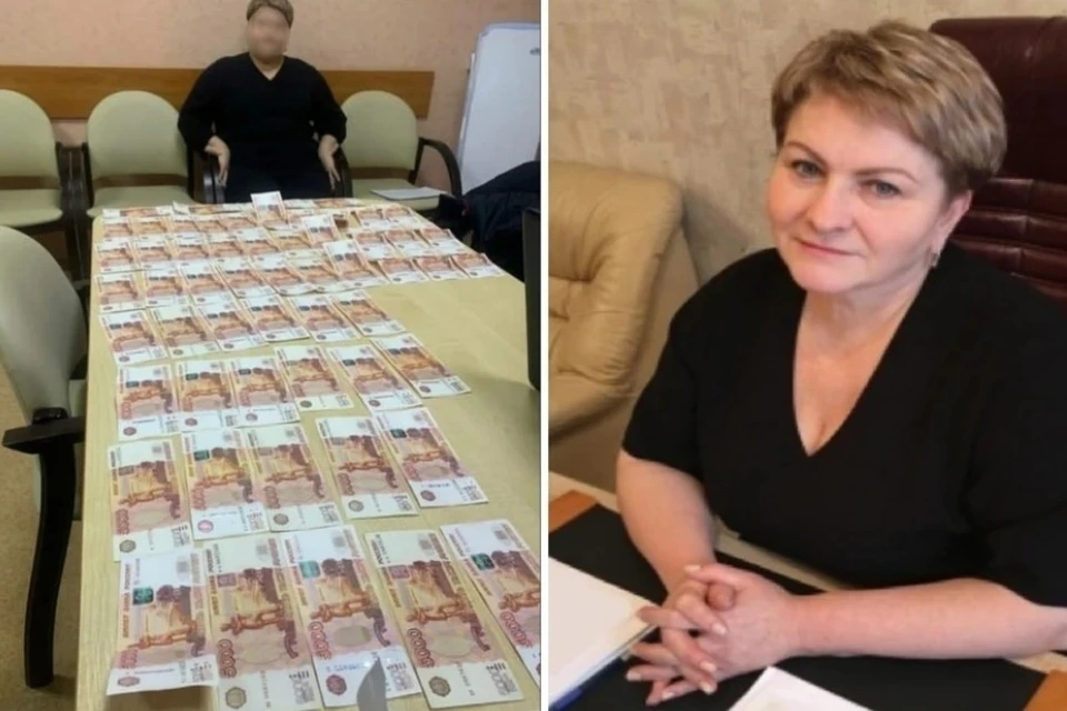 Елена Паненкова, по версии следствия, собирала взятки с сентября 2019-го по декабрь 2022 года.