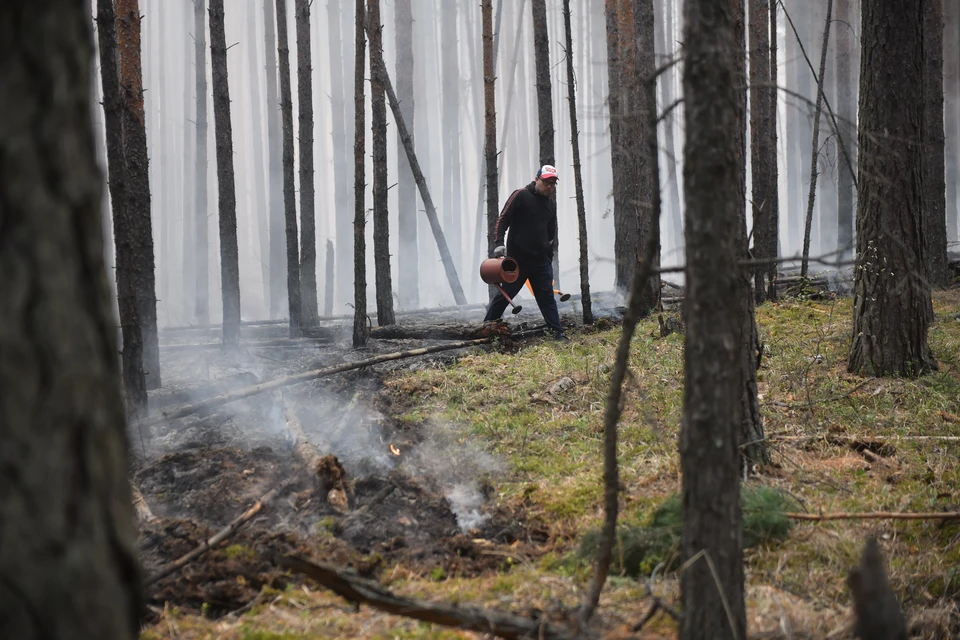На данный момент на территории Свердловской области действуют 29 природных пожаров