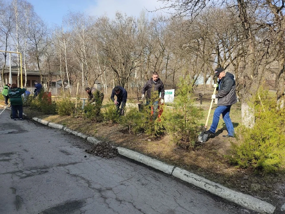 В ДНР продолжается посадка новых деревьев и кустарников, а также уборка леса