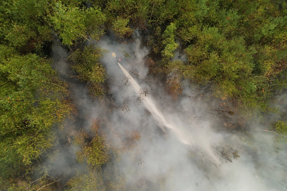 В Томской области потушен один лесной пожар.