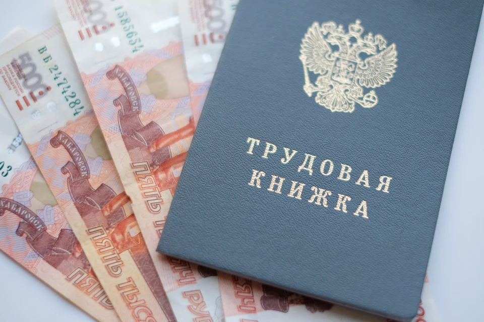 В Петербурге вырос спрос на специалистов из сферы финансов и банков 47% новых вакансий
