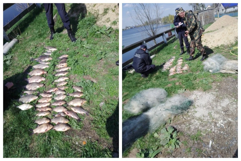 У двух браконьеров рыбка вышла "золотая". Фото: gosinspekciya.gov.by