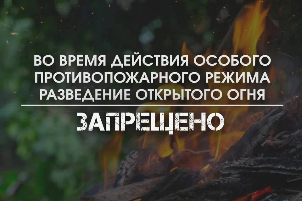 В Липецкой области ввели особый противопожарный режим с 16 мая по 30 июня 2023 года