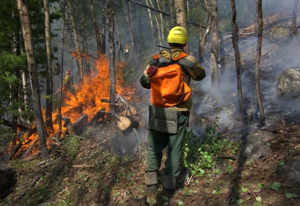 Огнеборцы потушили 24 пожара в лесах Томской области в 2023 году. Фото: пресс-служба департамента лесного хозяйства Томской области