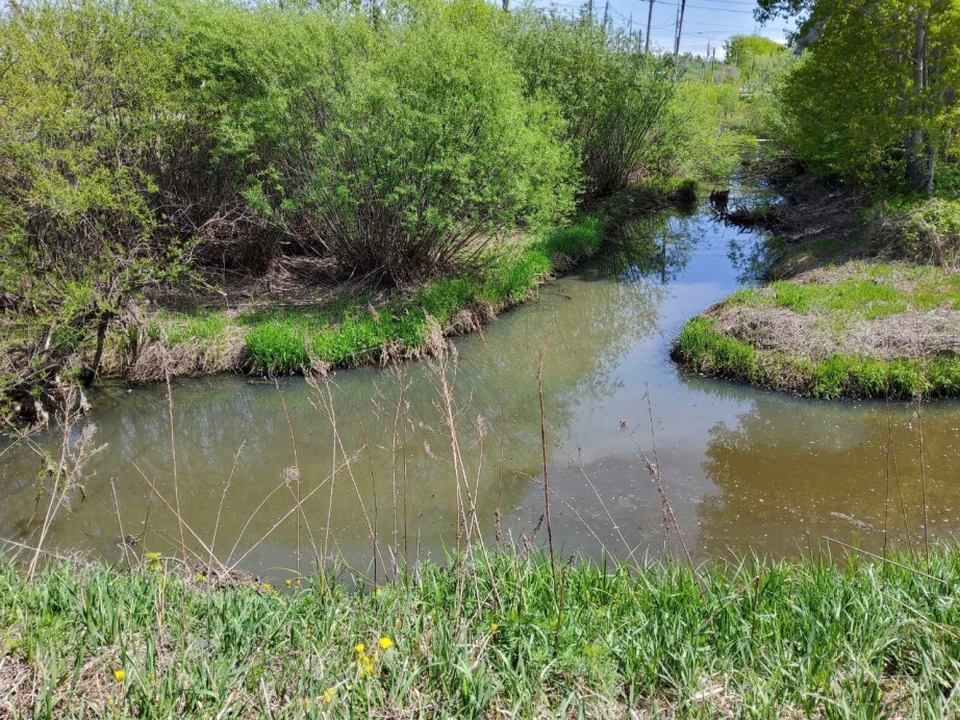 Русла малых рек расчищают в Хабаровском крае Фото: правительство Хабаровского края