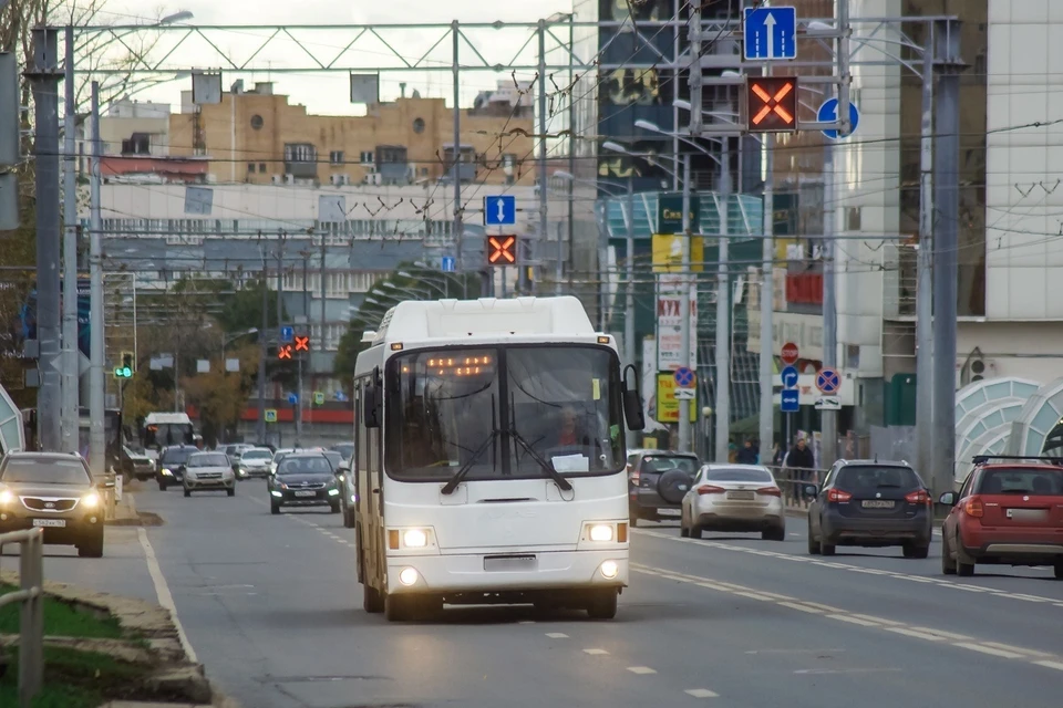 Интервал бесплатных автобусов составит в 15 минут.