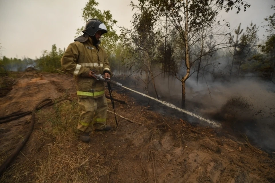 В период с 20 по 29 мая ожидается высокая пожарная опасность лесов