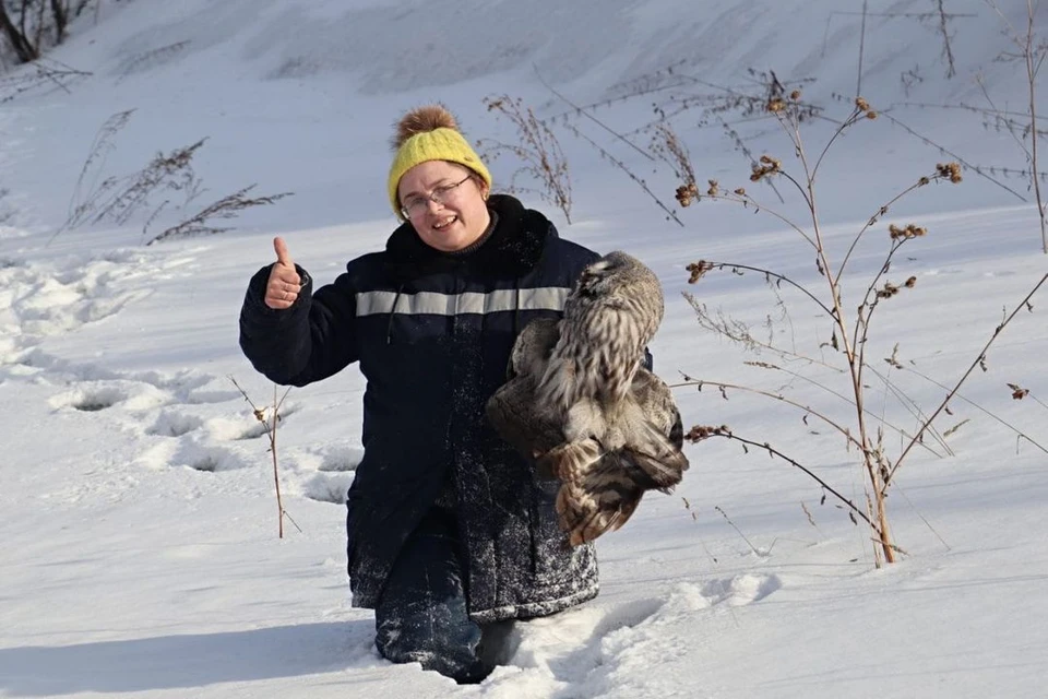 Новосибирские волонтеры выходили сову, которую в конце февраля заметили на трассе в области автомобилисты. Фото: ЦРДЖ