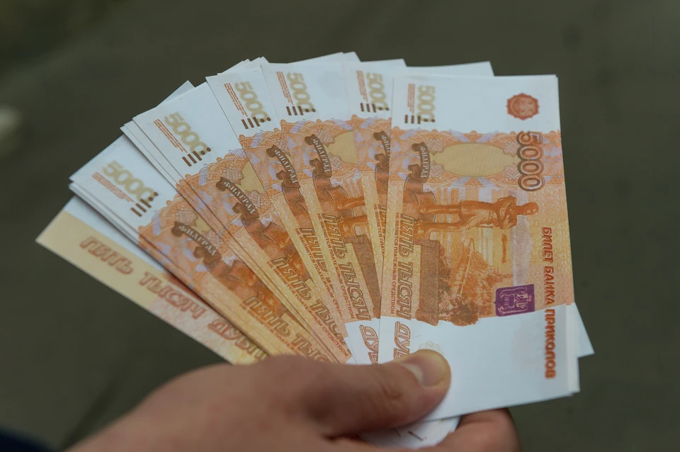 Уголовное дело о похищении 29 миллионов рублей из бюджета Ленобласти передали в суд.