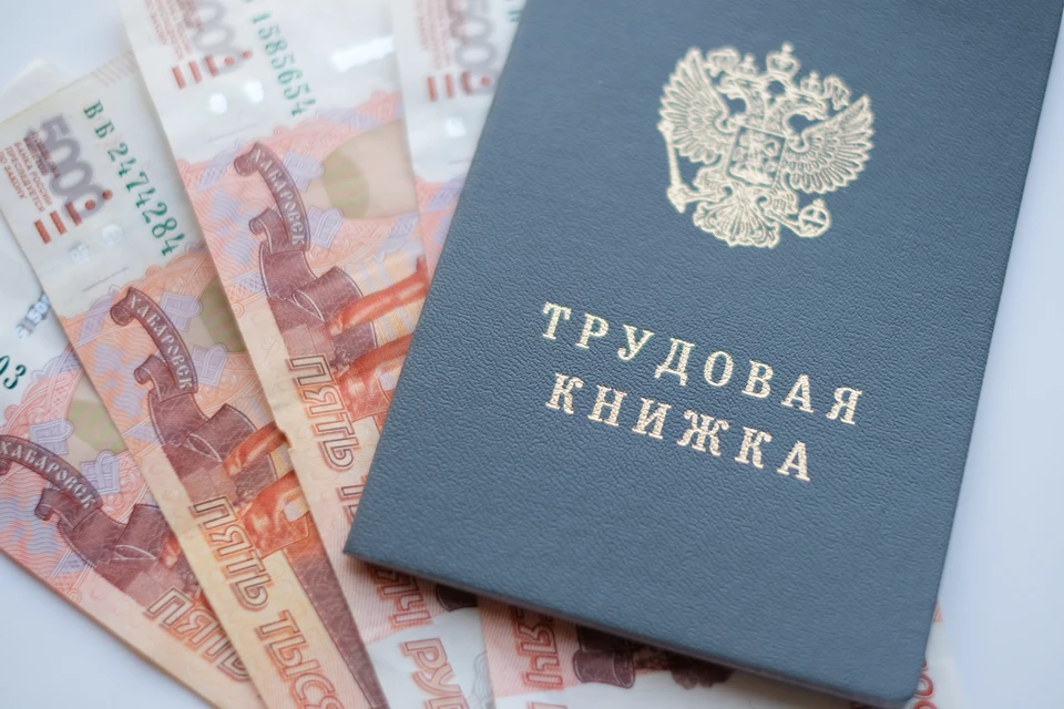 Спрос на выпускников колледжей вырос в Петербурге.