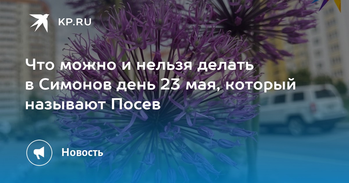 Симонов день 23 мая картинки