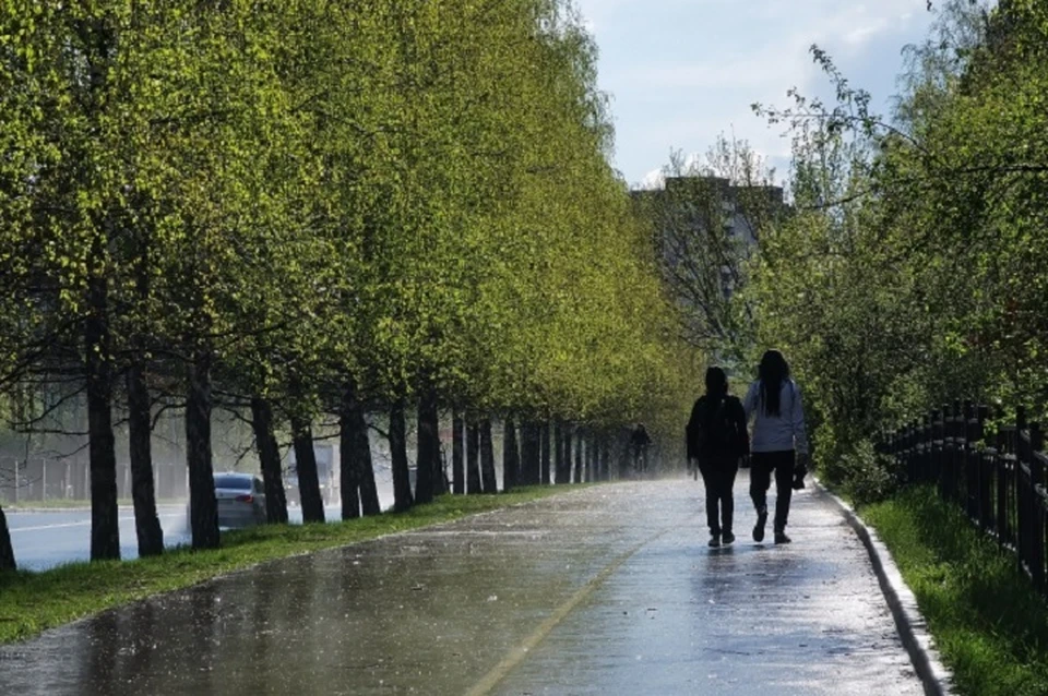 В Луганске оставшуюся рабочую неделю ожидаются дожди