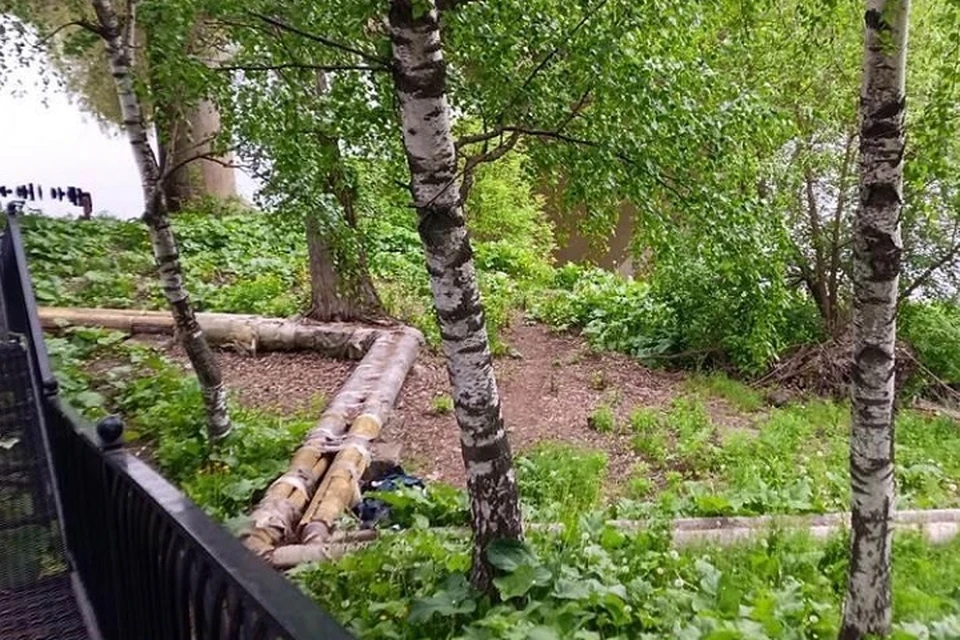 В Рыбинске началась перекладка теплотрассы на улице Бульварной.