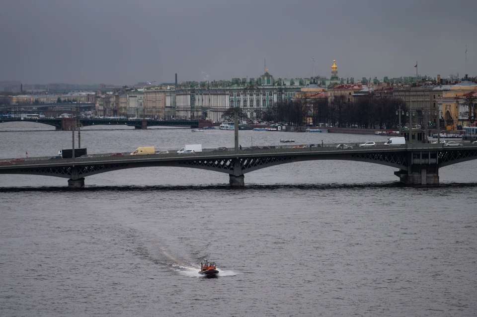 МЧС предупредило о дожде, грозах и ветре в Петербурге 25 мая.