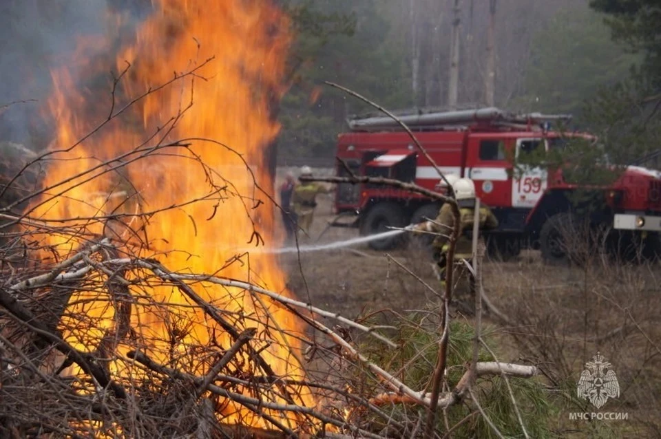 Самарцам запретили ходить в лес из-за высокой вероятности возникновения пожаров