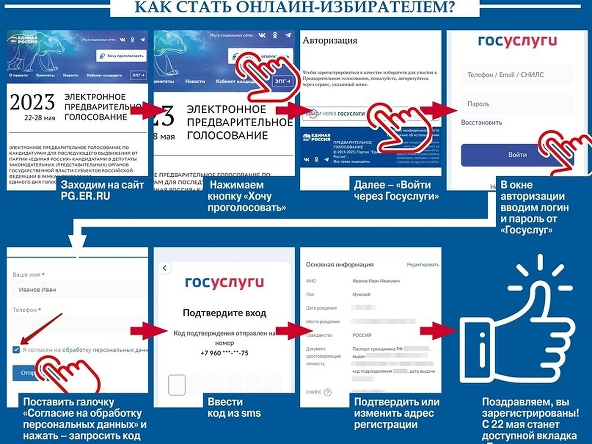 22 – 28 мая Что нужно знать о предварительном голосовании? - KP.RU