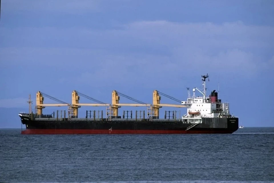 Крупнейший индийский перевозчик российской нефти лишится сертификации 21 судна