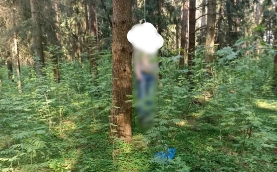 В Смоленской области 32-летний мужчина свёл счёты с жизнью в лесополосе. Фото: «Нетипичный чёрный список Сафоново|Дорогобуж».