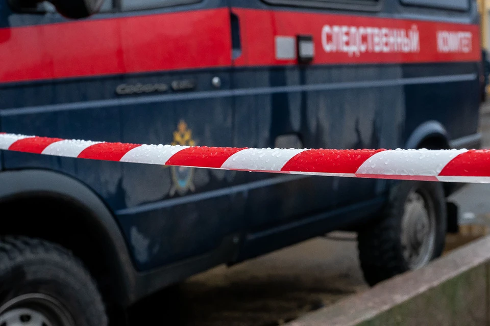 Следственный комитет завел уголовное дело