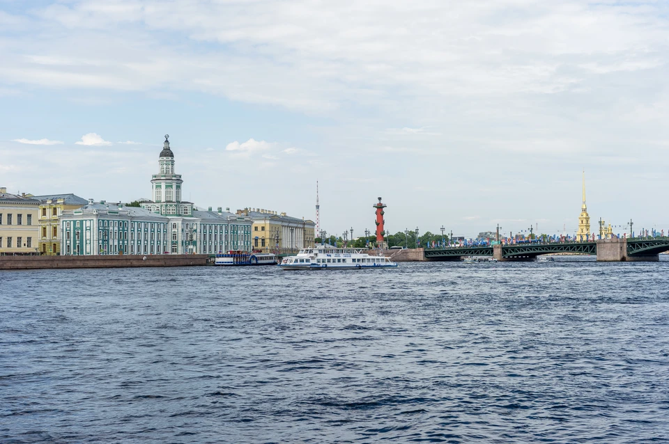 Институт Гете в Петербурге раньше времени ушел на летний перерыв - KP.RU