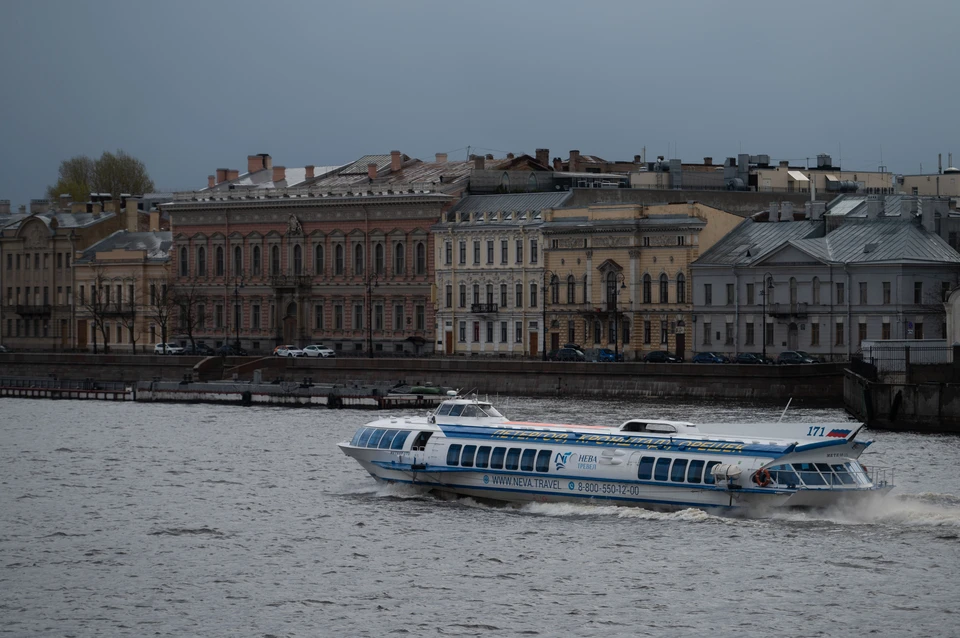 Дожди и прохлада продолжатся в Петербурге 29 мая