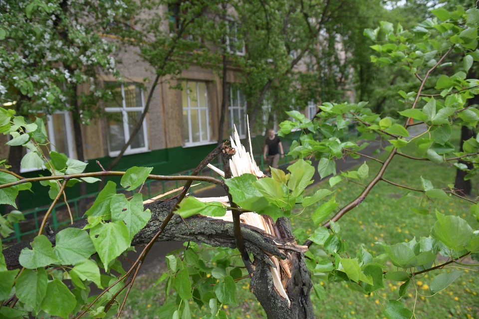 Во время стихии нельзя находиться рядом с деревьями и слабоукрепленными конструкциями