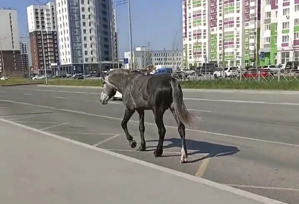 Фото: соцсети.