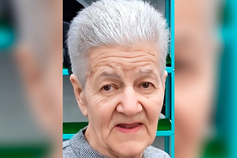 Без вести пропавшую 85-летнюю пенсионерку десять дней ищут волонтеры. Фото: vk.com/lizaalert_piter