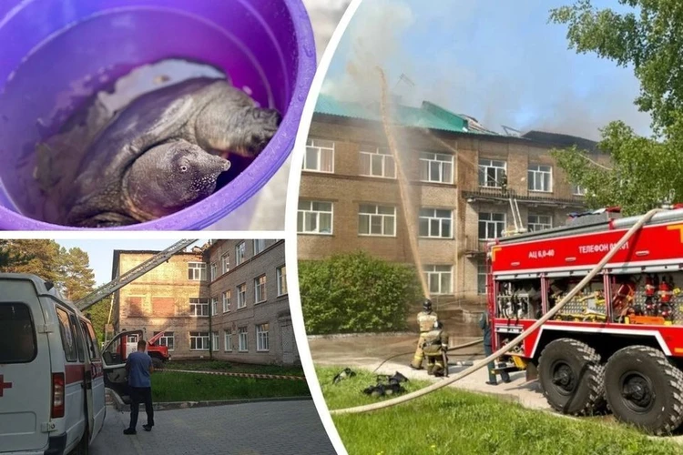 Спасли 143 пациента и черепаху: что сейчас известно о пожаре в Центральной клинической больнице в Новосибирске