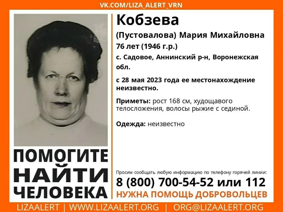 фото Лиза Алерт