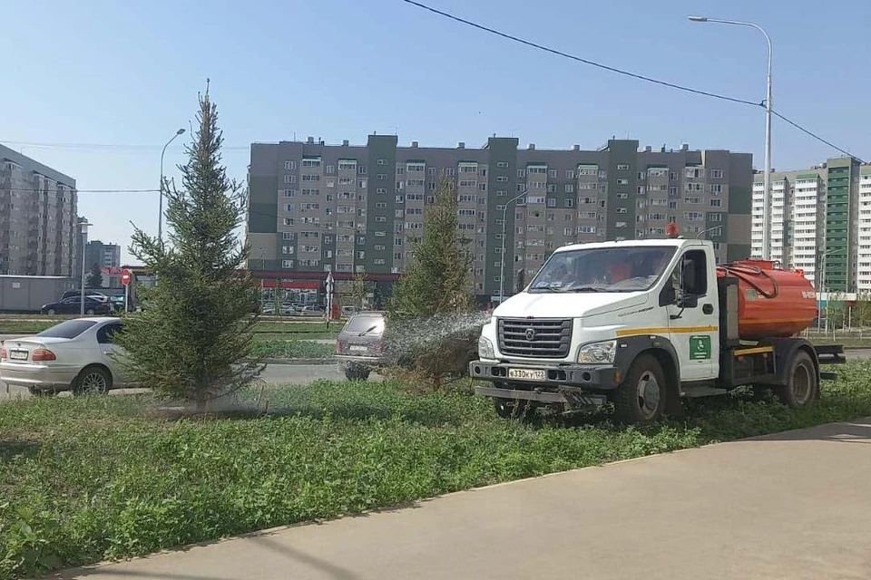 Особое внимание уделяют молодым растениям