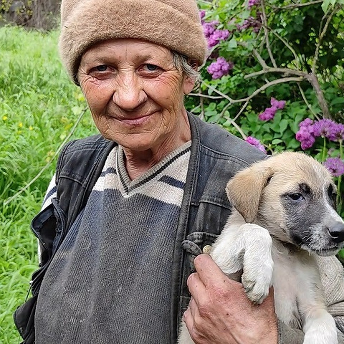 Народный фронт помог бабушке из Мариуполя, приютившей 70 бездомных собак -  KP.RU