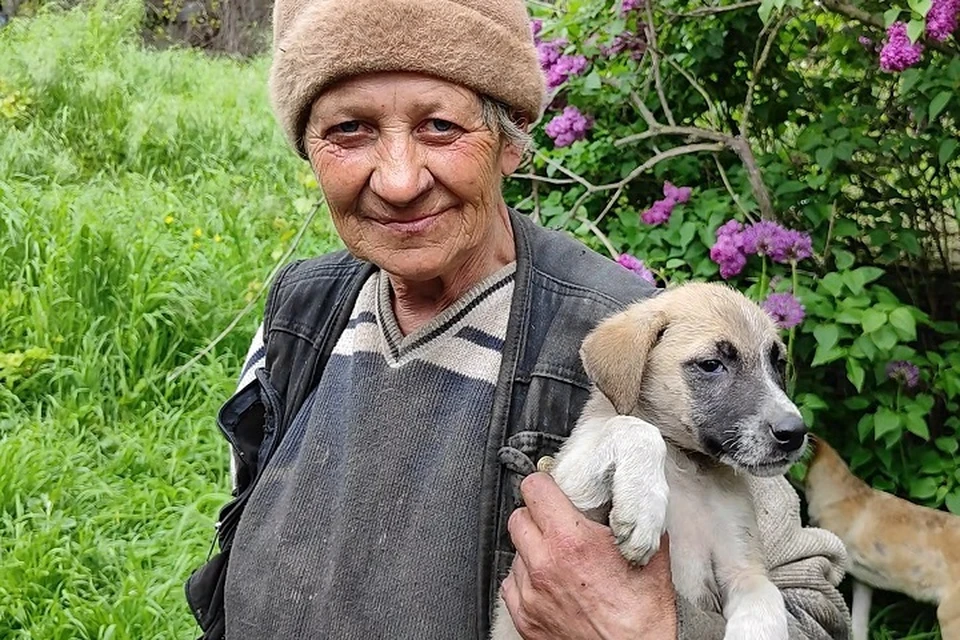 Бабушка Нина бездомной собакой Фото: Народный фронт