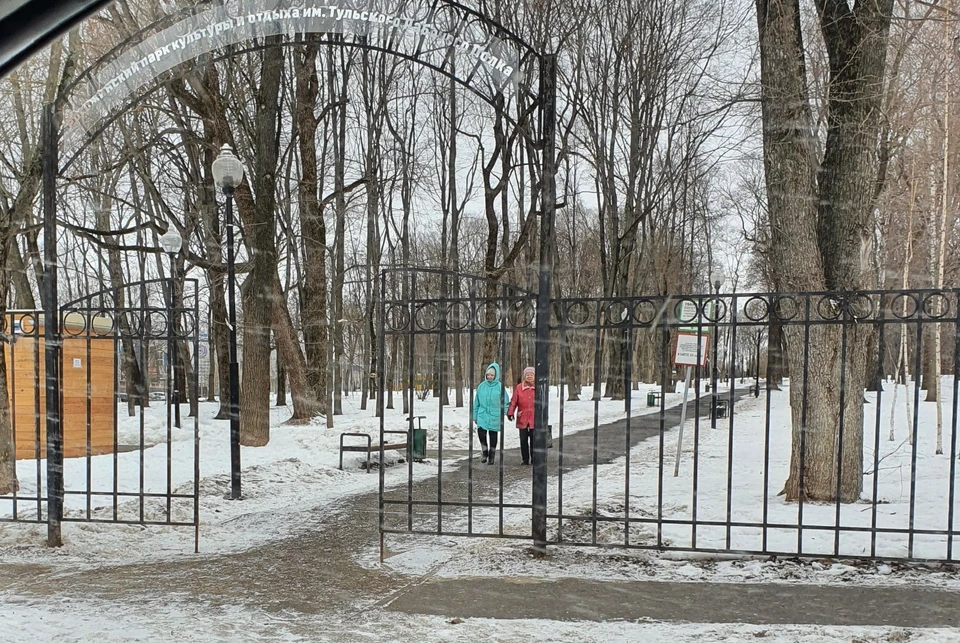 Поскользнувшаяся в тульском парке пенсионерка отсудила 66 тысяч рублей компенсации