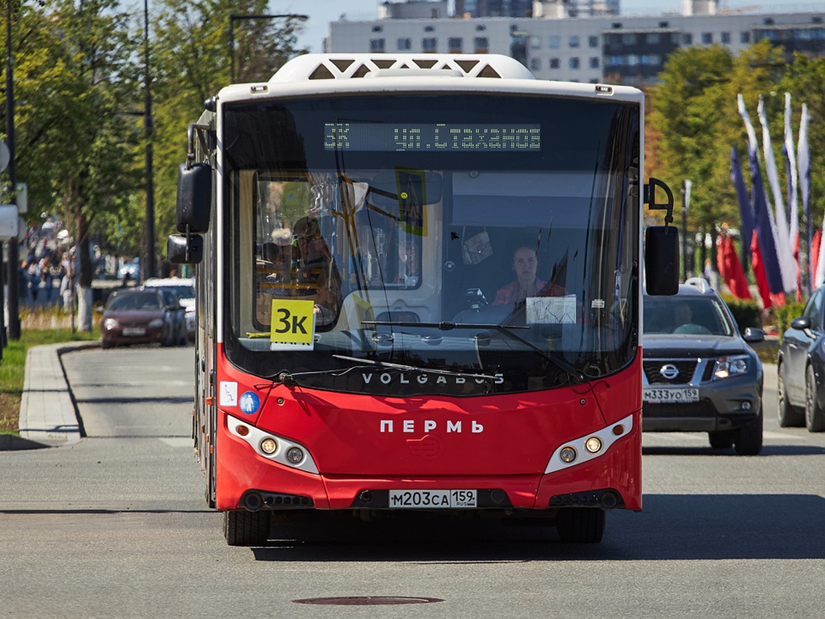 День города в Перми 2023: работа общественного транспорта и бесплатный  проезд, перекрытие движания - KP.RU