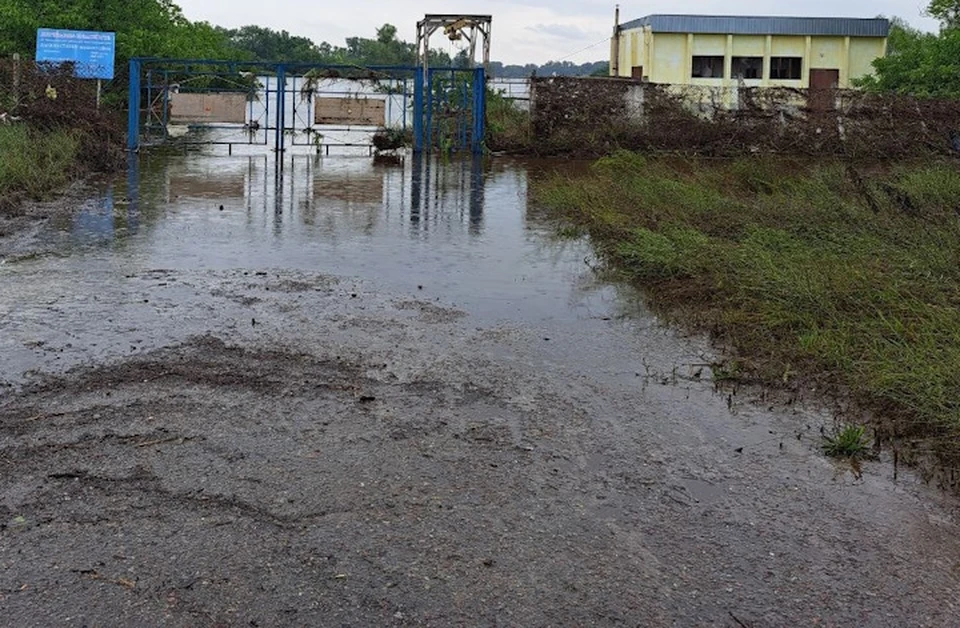 Все дело в воде