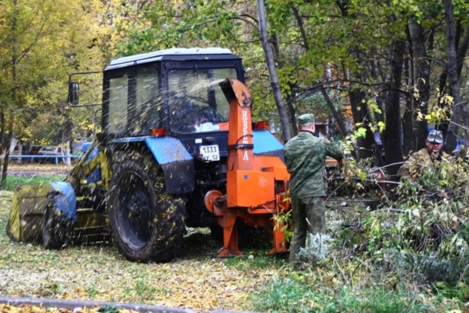 Отсутствие света связано с работами по обрезке деревьев и заменой аварийных опор