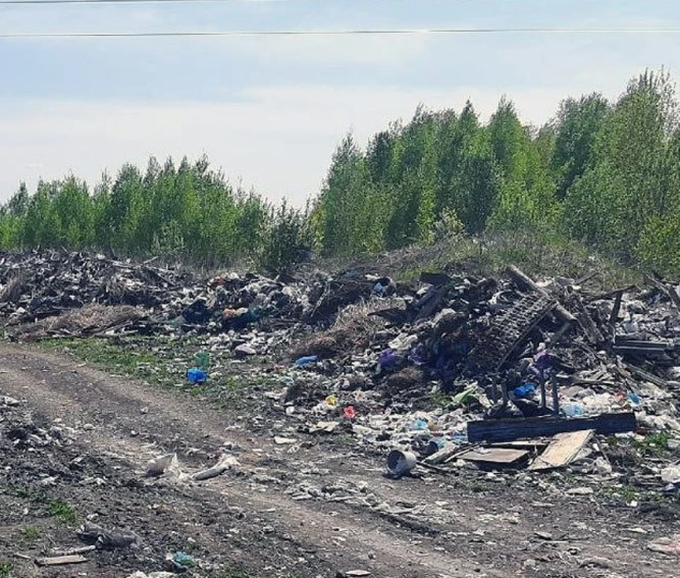 Владельцам земельных участков предложено ликвидировать свалки до 31 октября. Фото: управление Россельхознадзора по Новосибирской и Томской областям