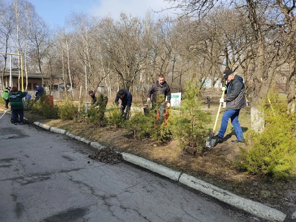 Восстановление леса благотворно повлияет на экологическую ситуацию в регионе