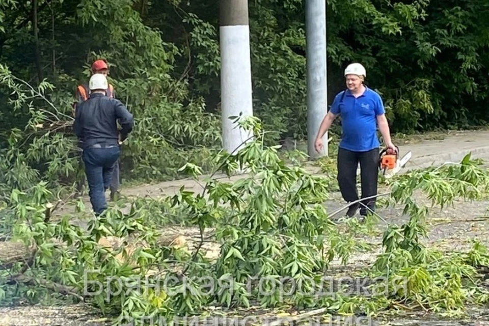 Фото: пресс-служба Брянской городской администрации.