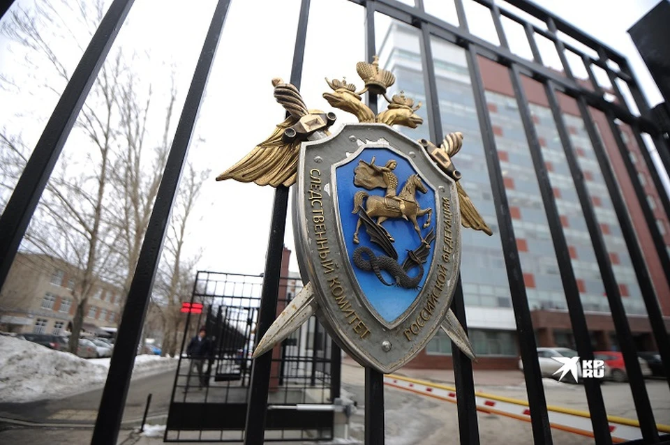 Тело пропавшего нашли в лесном массиве