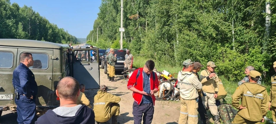 Торфяной пожар произошел в Балахнинском районе днем 17 июня. Фото: администрация Балахнинского района во «ВКонтакте»