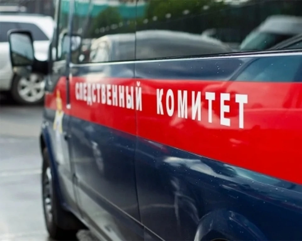 Фото с сайта СК УО