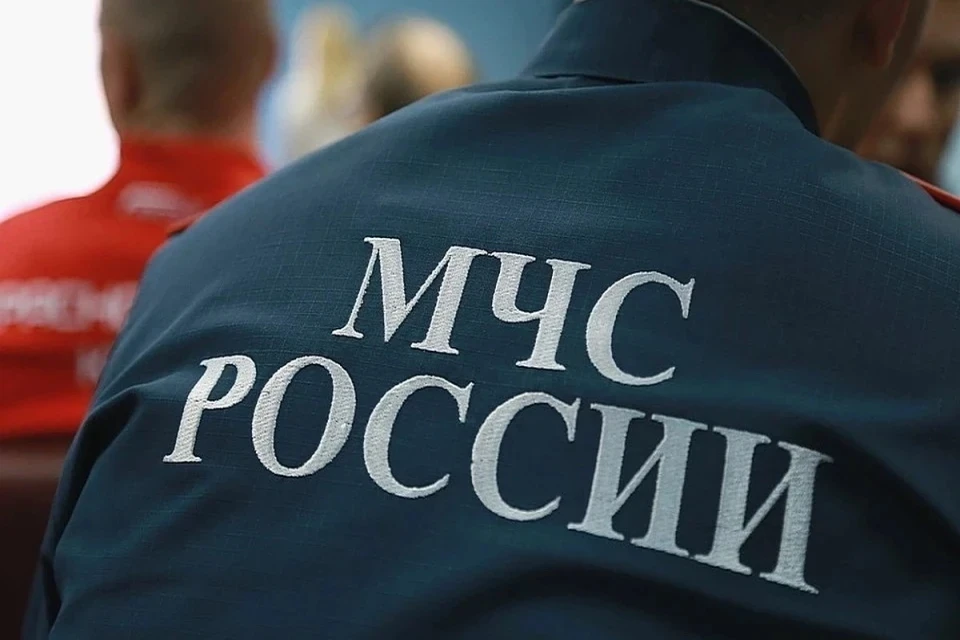 МЧС объявило высокий уровень пожарной опасности в Москве с 20 по 22 июня